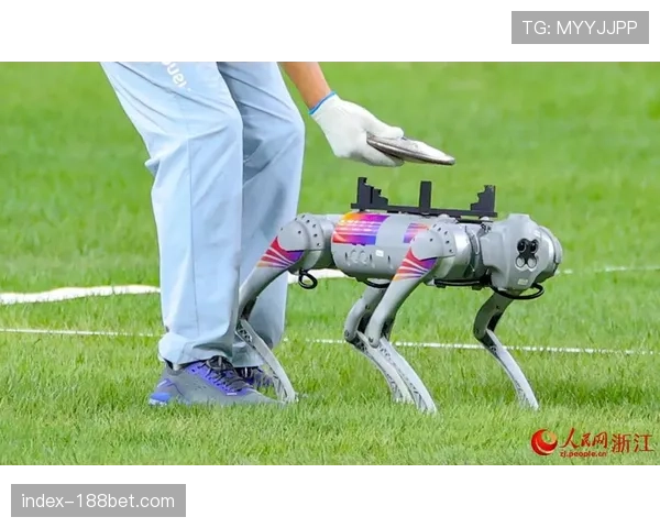 机器狗协助标枪铁饼捡拾 智能设备开始替代高风险人工操作